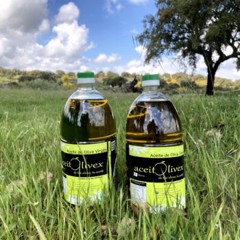 Aceite Coupage Cordovil y Gallega Cosecha Temprana - PET 2L